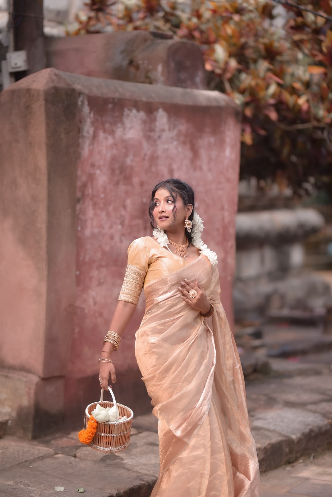 Banarasi Tissue Saree