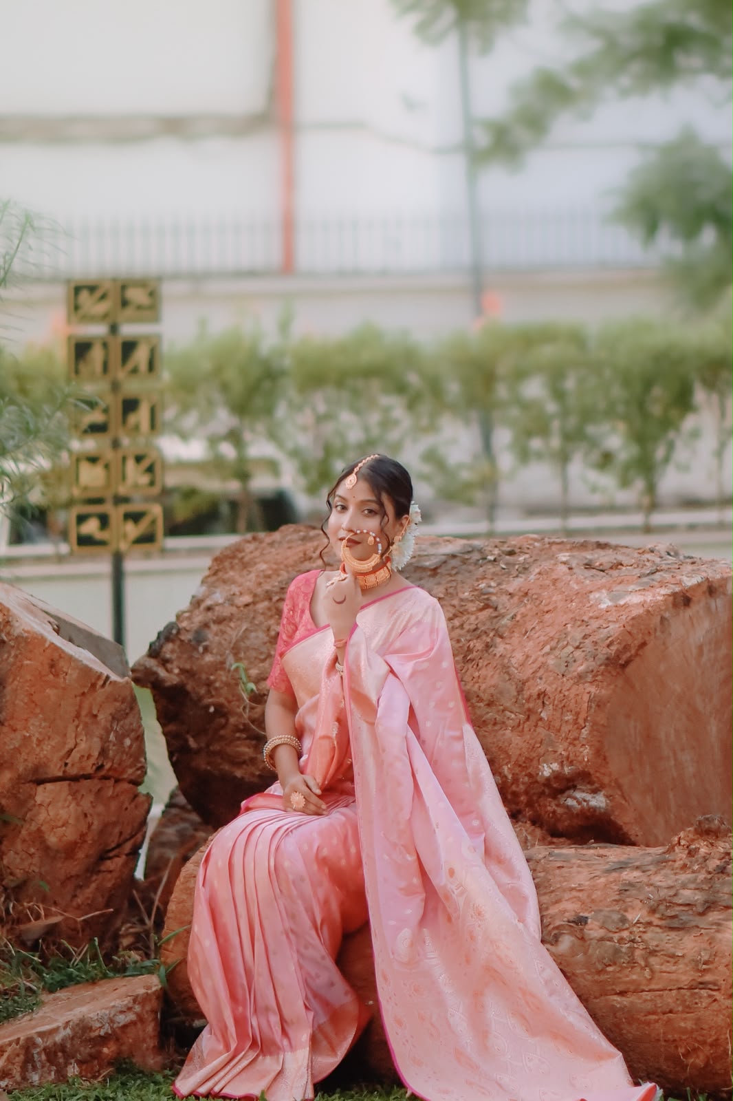 Banarasi Silk Blend Saree